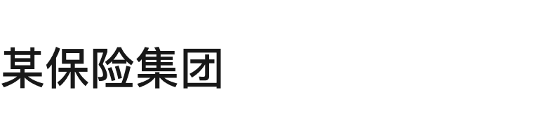 某保险集团